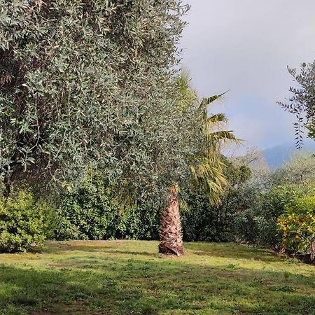 Вила Елена-Villa Elena 1 Skala Potamia  Esterno foto