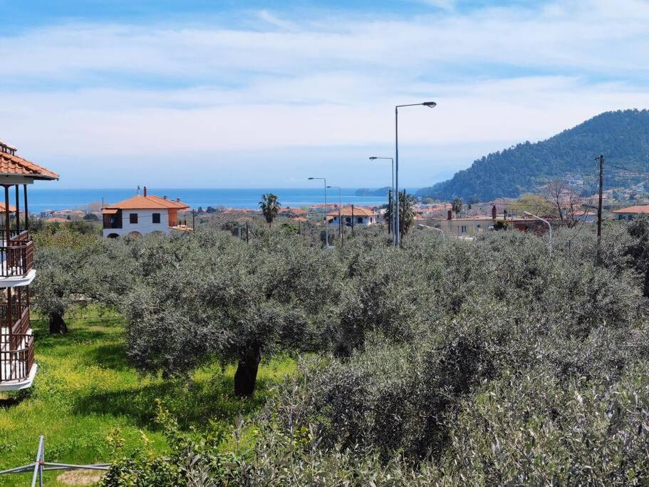 Вила Елена-Villa Elena 1 Skala Potamia  Esterno foto
