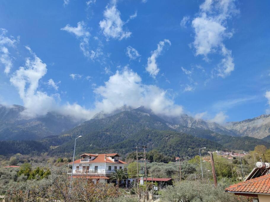 Вила Елена-Villa Elena 1 Skala Potamia  Esterno foto